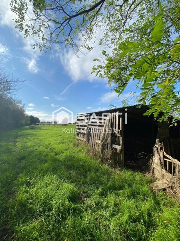 Maison 5 chambres, terrains de 25723m² avec hangar