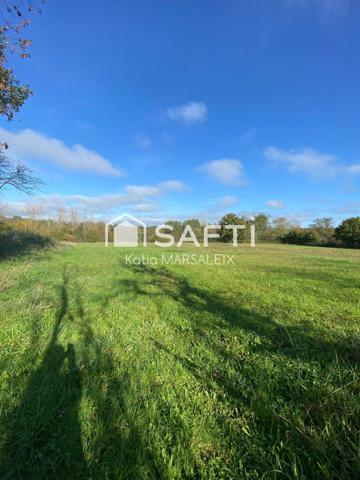 Maison 5 chambres, terrains de 25723m² avec hangar