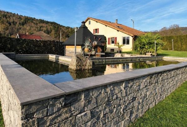 Vente / Ferme à Ramonchamp (88160)