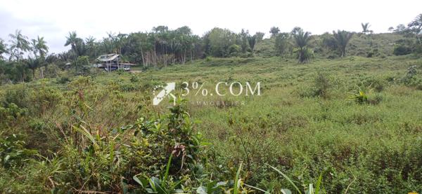 A VENDRE A KALANY MONTSINERY UNE PARCELLE AGRICOLE DE 1HA  Montsinéry-Tonnegrande (97356)