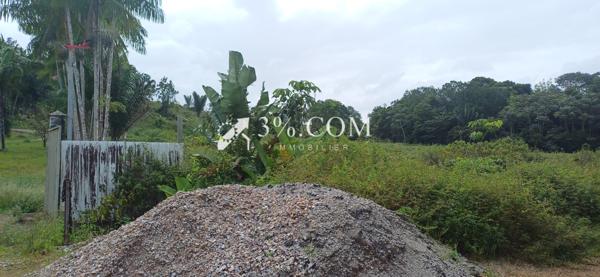 A VENDRE A KALANY MONTSINERY UNE PARCELLE AGRICOLE DE 1HA  Montsinéry-Tonnegrande (97356)