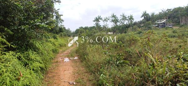 A VENDRE A KALANY MONTSINERY UNE PARCELLE AGRICOLE DE 1HA  Montsinéry-Tonnegrande (97356)