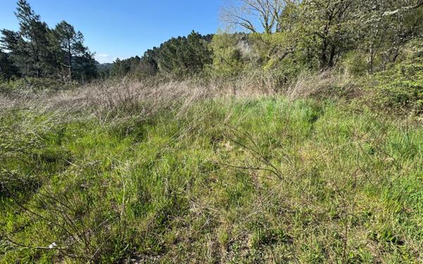 Terrain à vendre    Laval-Pradel