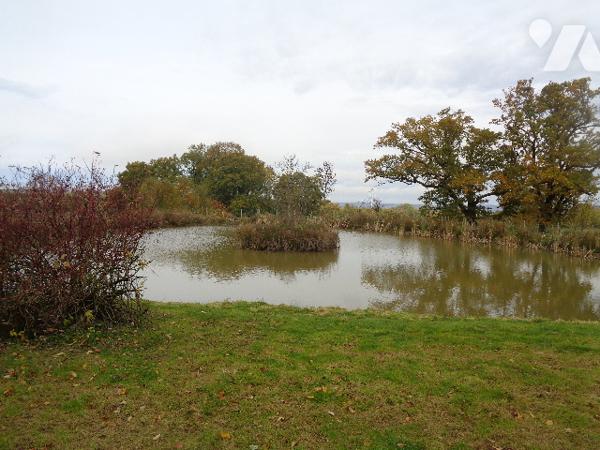 Plan d'eau