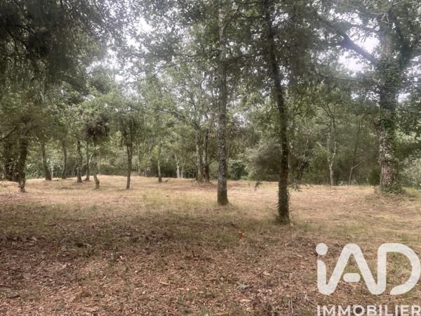 Terrain à vendre 4 376 m² Lagorce