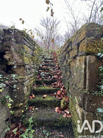 Maison à vendre 10 pièces 280 m² Darney