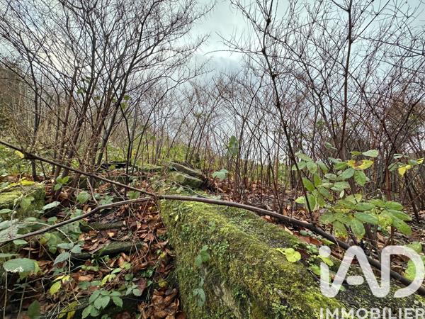 Maison à vendre 10 pièces 280 m² Darney