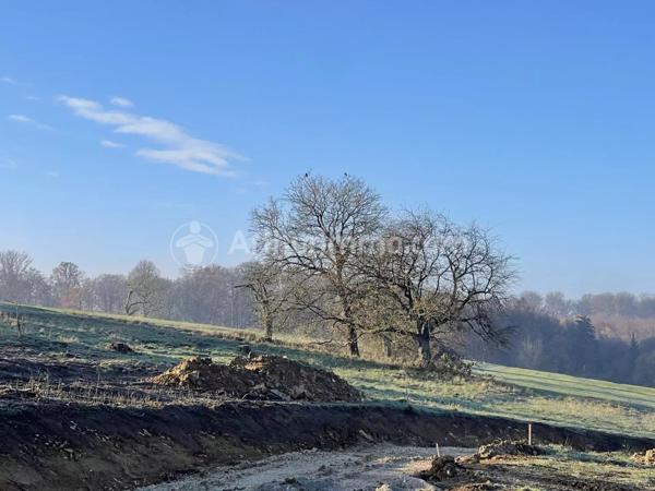 Vente Terrain 692 m2 à Fesches-le-Châtel