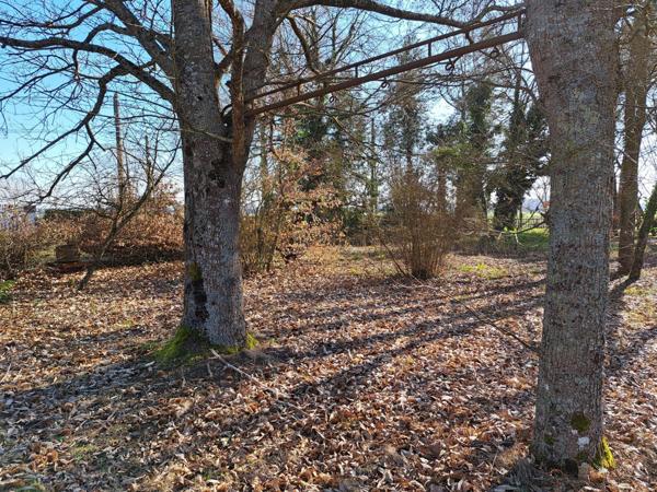 Maison familiale spacieuse avec sous-sol intégral