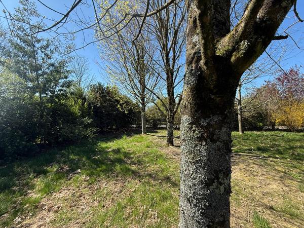 NOUVEAU Terrain à bâtir de 697 M²  : Un cadre de vie privilégié à deux pas du bourg de MEUCON