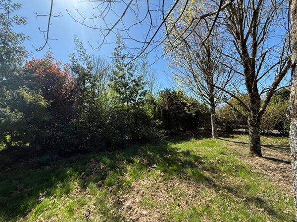 NOUVEAU Terrain à bâtir de 697 M²  : Un cadre de vie privilégié à deux pas du bourg de MEUCON