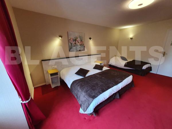 Grande propriété rénovée – Fort potentiel gîte ou projet familial – Le Lude (72800)