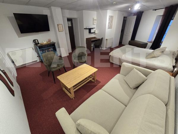 Grande propriété rénovée – Fort potentiel gîte ou projet familial – Le Lude (72800)