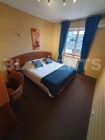 Grande propriété rénovée – Fort potentiel gîte ou projet familial – Le Lude (72800)