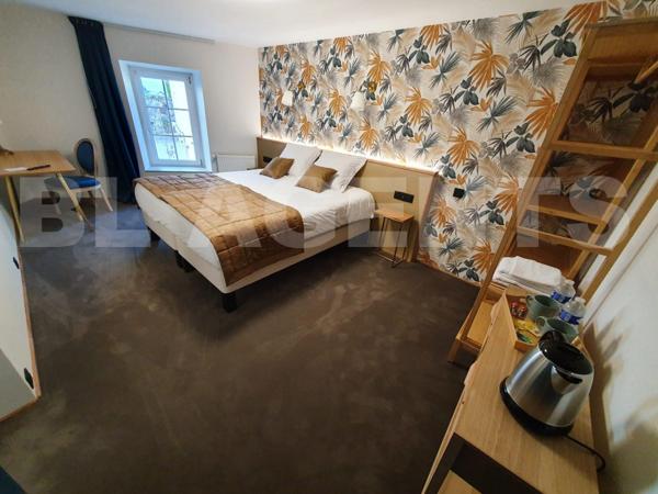 Grande propriété rénovée – Fort potentiel gîte ou projet familial – Le Lude (72800)