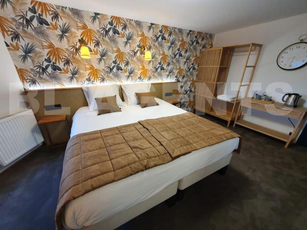 Grande propriété rénovée – Fort potentiel gîte ou projet familial – Le Lude (72800)