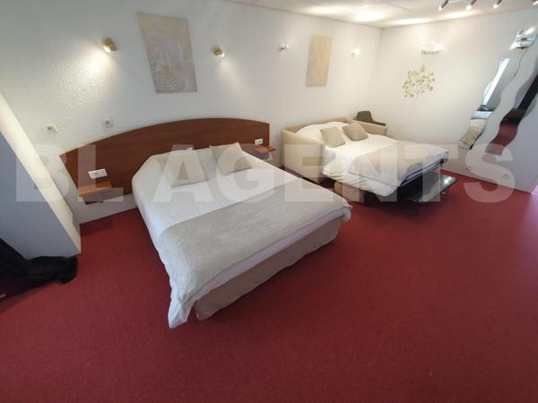 Grande propriété rénovée – Fort potentiel gîte ou projet familial – Le Lude (72800)