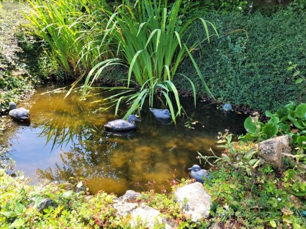 Maison à vendre à Saint-Ouen-du-Tilleul dans l'Eure (27670), ref : 299250