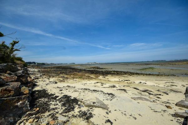 Vente / Maison T6+