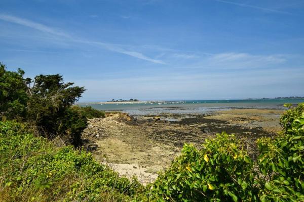 Vente / Maison T6+