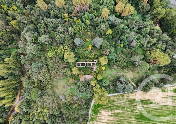 Maison à vendre  1 pièce - 700 m2 GRAULHET - 81