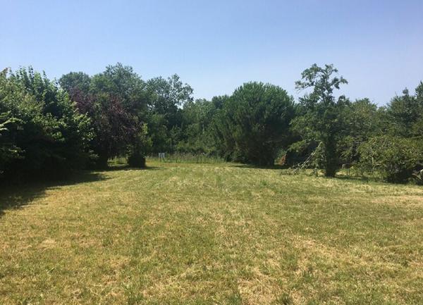 Terrain à vendre    Saint-Loubès