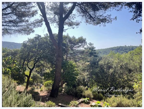 Maison individuelle UCHAUX, 142 m2 - 3 chambres