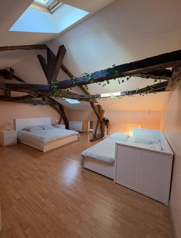 Neuvic (24190) maison bourgeoise avec jardin au calme