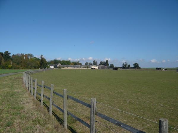 Illiers-Combray (28120) Superbe Ferme Équestre sur 10 ha avec des installations de Qualité
