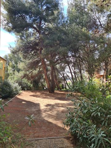 Appartement Balaruc Les Bains 2 pièce(s) 28 m2