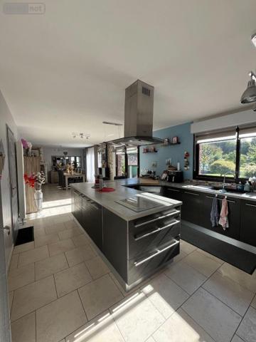 Maison individuelle à vendre à Bruay-sur-l'Escaut dans le Nord (59860), ref : 16082/348