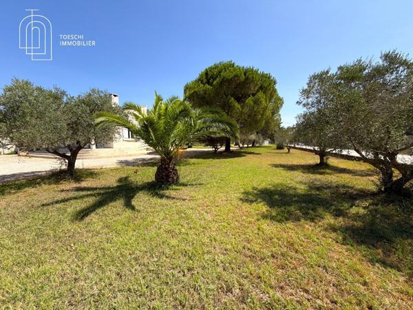 Maison entièrement rénovée avec fort potentiel