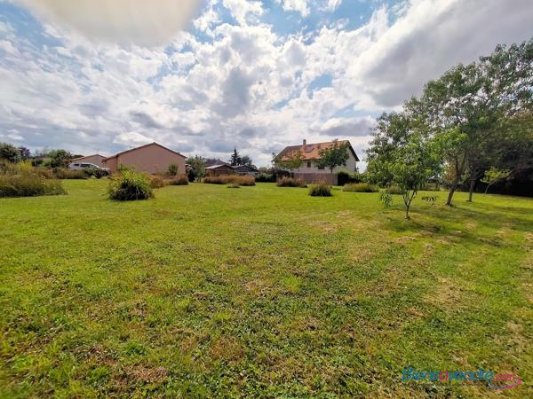 terrain constructible