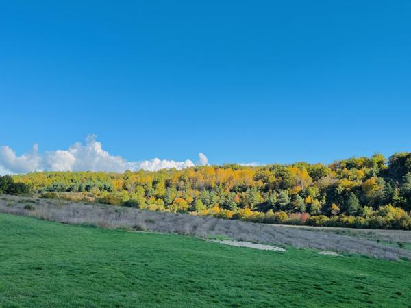 Sault (84390) Superbe bâtisse ancienne rénovée sur + de 11 hectares de terrain !