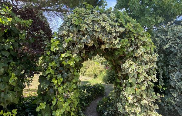 PORTES DE LA DROME PROVENCALE, LORIOL. FERME SUR PARC DE  3 582 M2 ET 284 M2 HAB. NB DEPENDANCES.