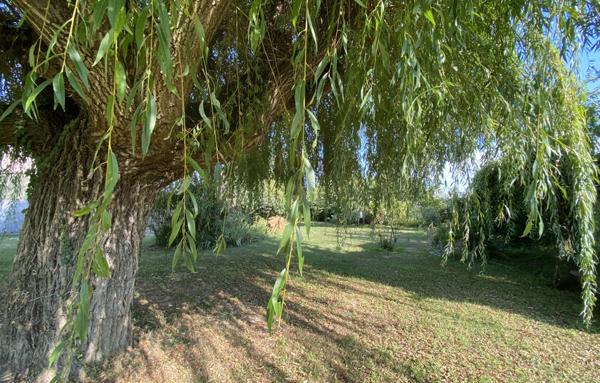 PORTES DE LA DROME PROVENCALE, LORIOL. FERME SUR PARC DE  3 582 M2 ET 284 M2 HAB. NB DEPENDANCES.