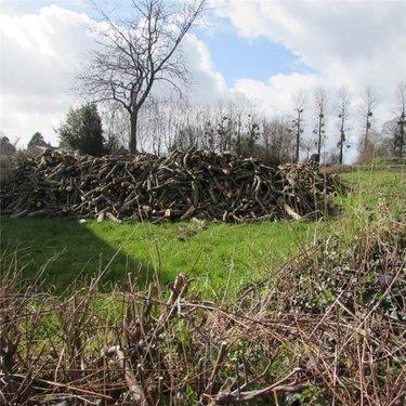 Terrain de loisirs - Bois - Etang à vendre à Chérencé-le-Héron dans la Manche (50800), ref : 50038-2565