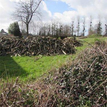 Terrain de loisirs - Bois - Etang à vendre à Chérencé-le-Héron dans la Manche (50800), ref : 50038-2565