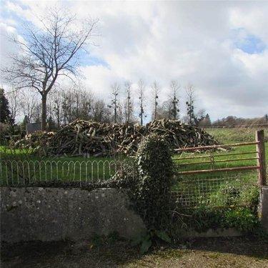 Terrain de loisirs - Bois - Etang à vendre à Chérencé-le-Héron dans la Manche (50800), ref : 50038-2565