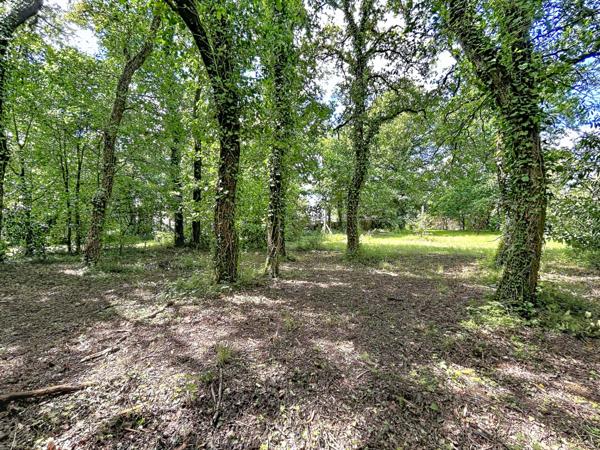 Lieuron 35550 : terrain constructible de 2054 m² à saisir