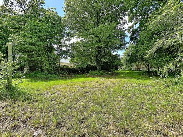 Lieuron 35550 : terrain constructible de 2054 m² à saisir