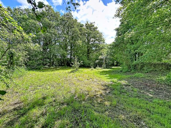 Lieuron 35550 : terrain constructible de 2054 m² à saisir