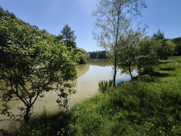 Maison d’Architecte avec Piscine Intérieure et Parc Privé de 6 Hectares
