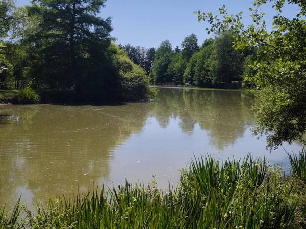 Maison d’Architecte avec Piscine Intérieure et Parc Privé de 6 Hectares