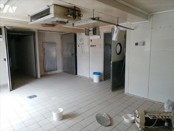 RECOLOGNE LOCAL PROFESSIONNEL ET APPARTEMENTS