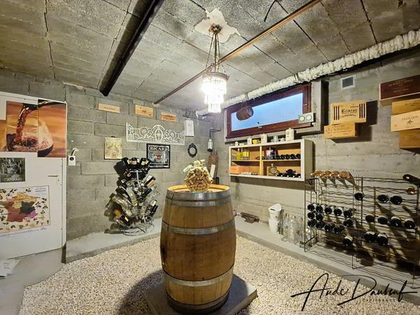 Saint-Jorioz - Villa rénovée 7 pièces - 4 chambres - Petite vue lac d'Annecy