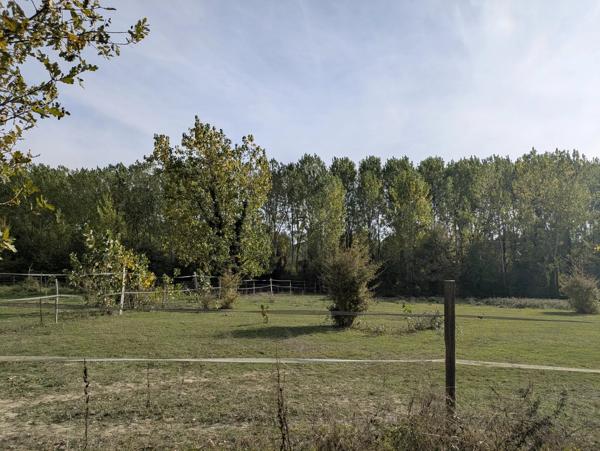 Propriété équestre idéale pour la vie de famille, 5 chambres, 5 ha, piscine
