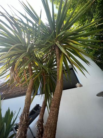 Fetilly - Maison chaleureuse