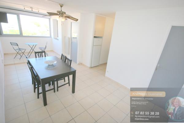 Le Grau-du-Roi (30240) Appartement 34 m², deux pièces