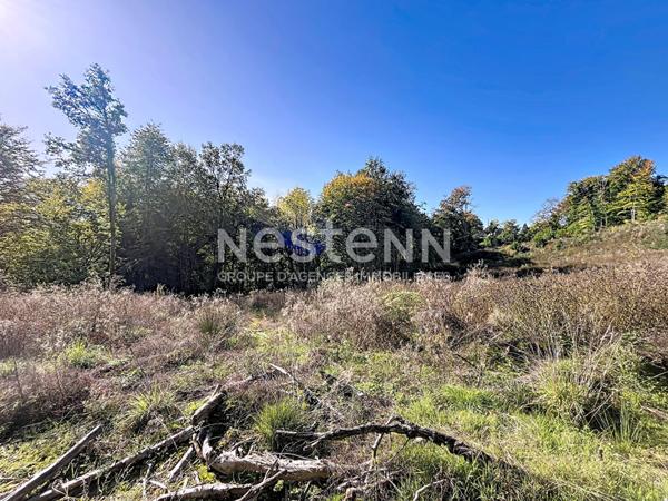 Parcelles naturelles et forestières attenantes à Naves - 25962 m2